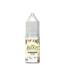 Bloom 10ml Nic Salt (Pack of 10) - Vapingsupply