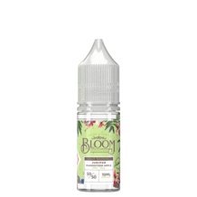 Bloom 10ml Nic Salt (Pack of 10) - Vapingsupply